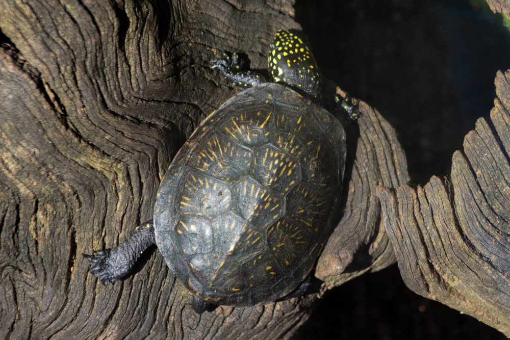 Tierpark_Bochum-42