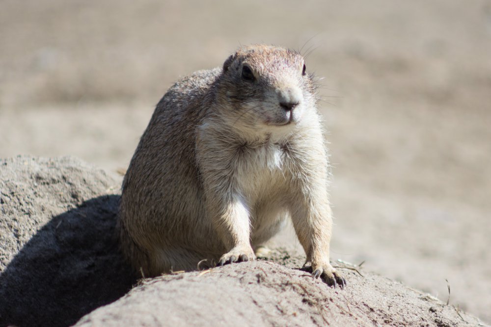 Tierpark_Bochum-43