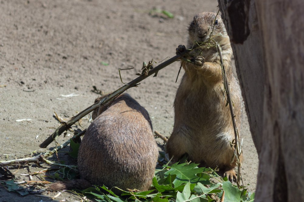 Tierpark_Bochum-44