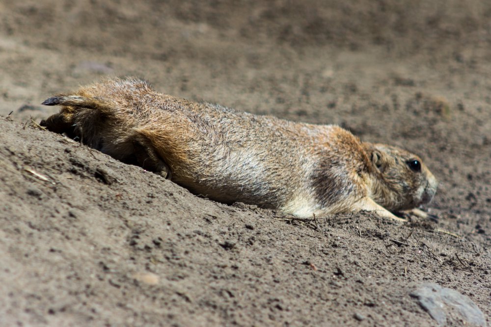 Tierpark_Bochum-45