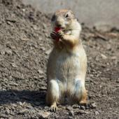 Tierpark_Bochum-46