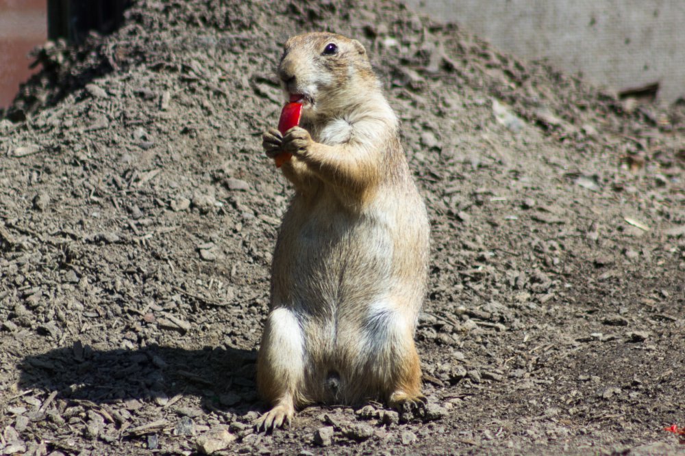 Tierpark_Bochum-47