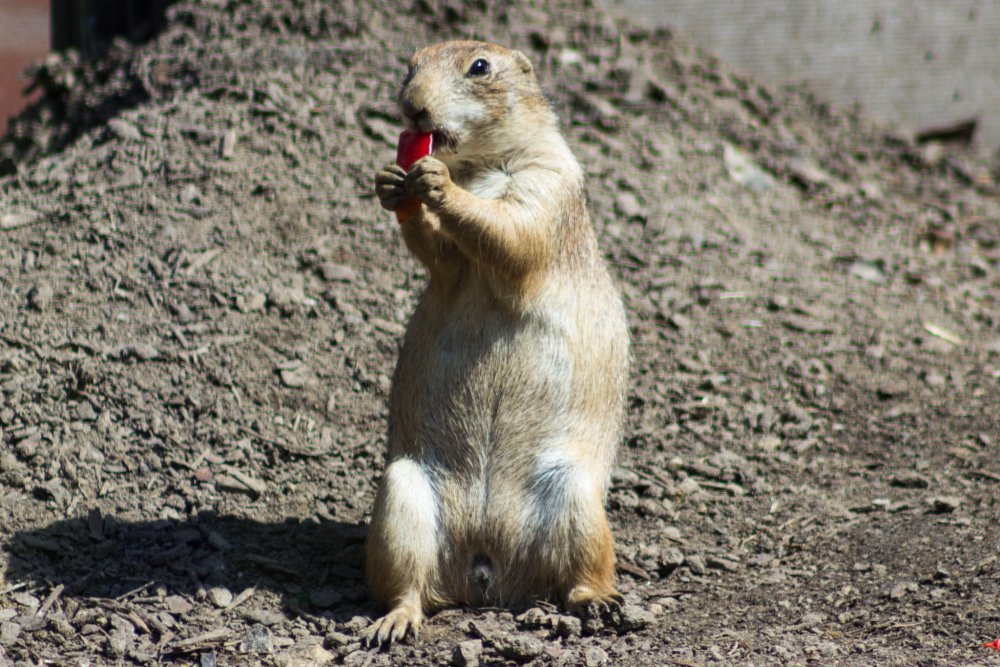 Tierpark_Bochum-48