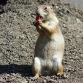 Tierpark_Bochum-48