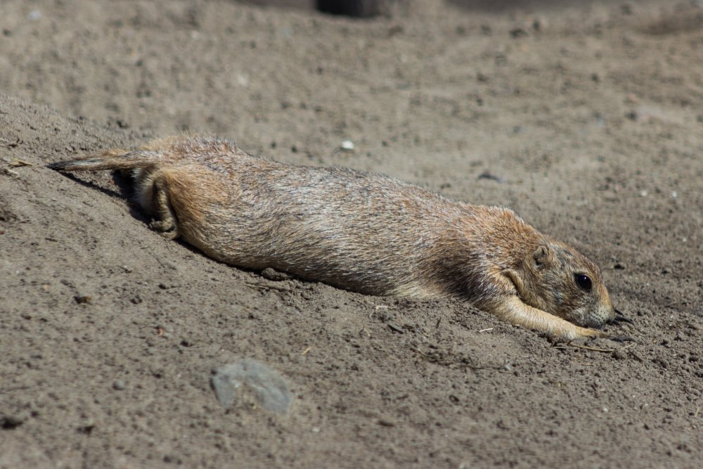 Tierpark_Bochum-49