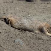 Tierpark_Bochum-49