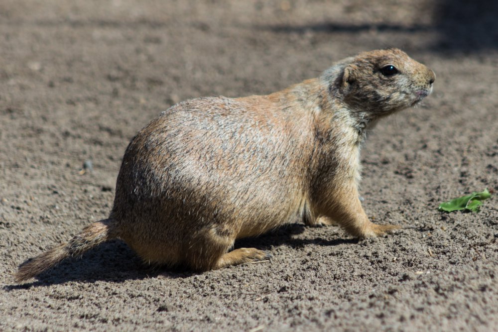 Tierpark_Bochum-50