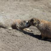 Tierpark_Bochum-51