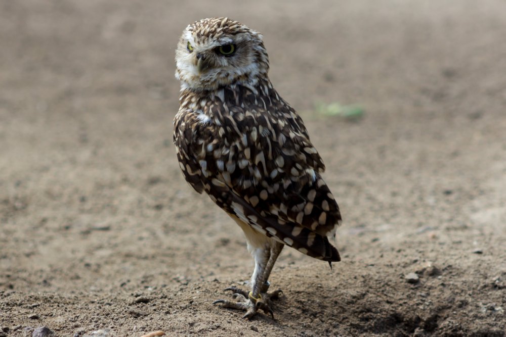 Tierpark_Bochum-53