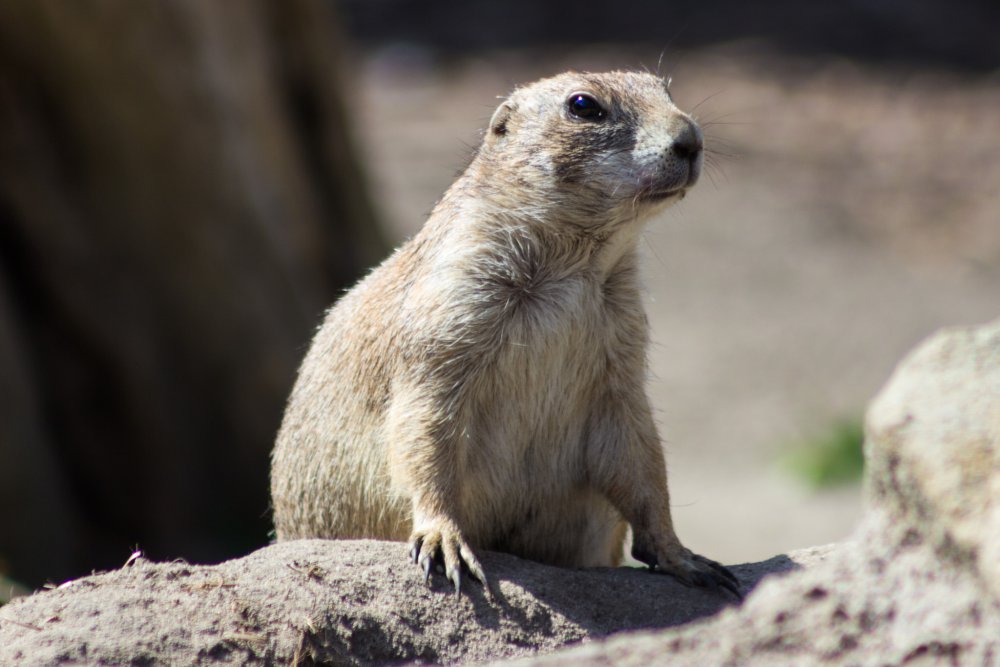 Tierpark_Bochum-54