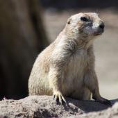 Tierpark_Bochum-54