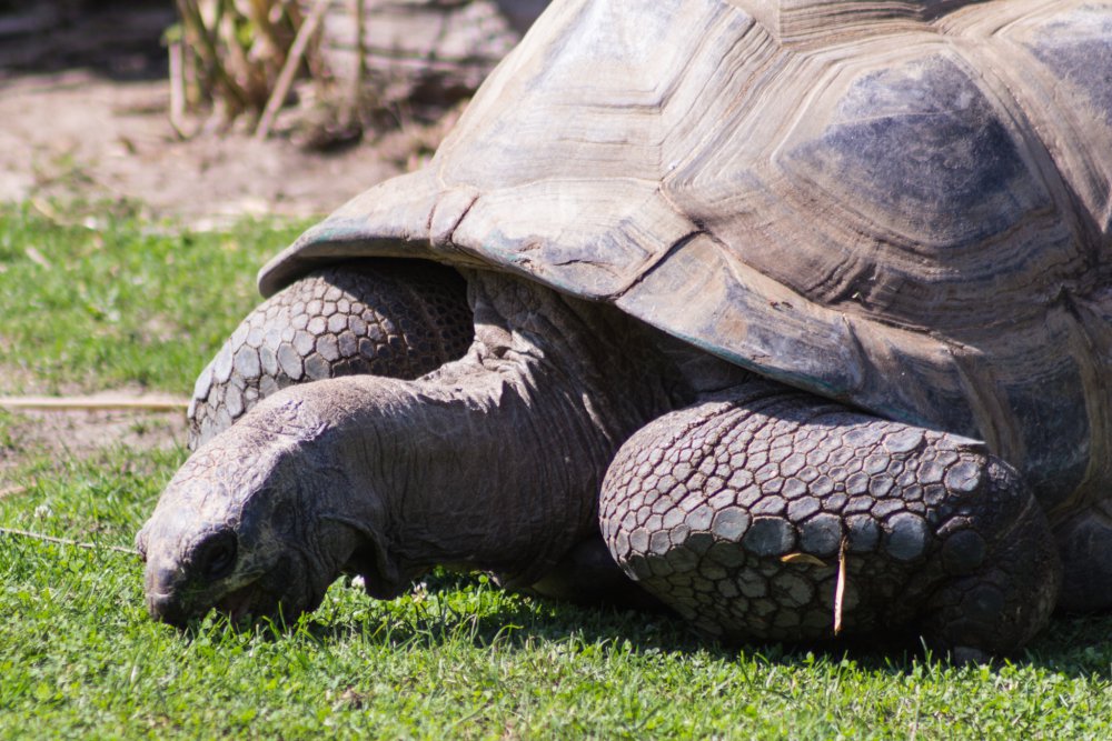 Tierpark_Bochum-57