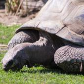 Tierpark_Bochum-57