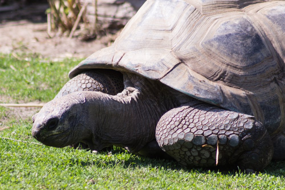 Tierpark_Bochum-58