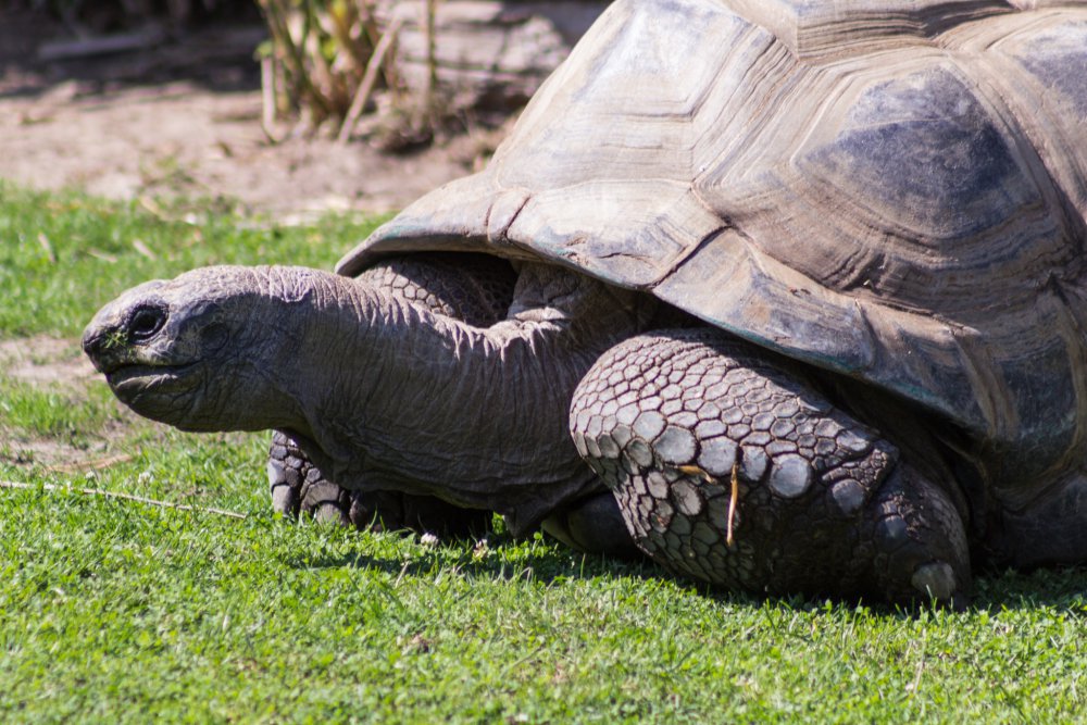 Tierpark_Bochum-59