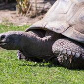 Tierpark_Bochum-59