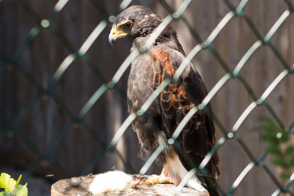 Tierpark_Bochum-5