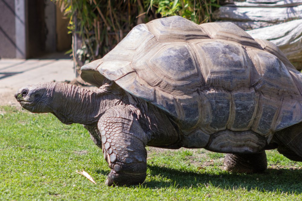 Tierpark_Bochum-60