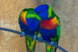 Tierpark Bochum 18.07.2015