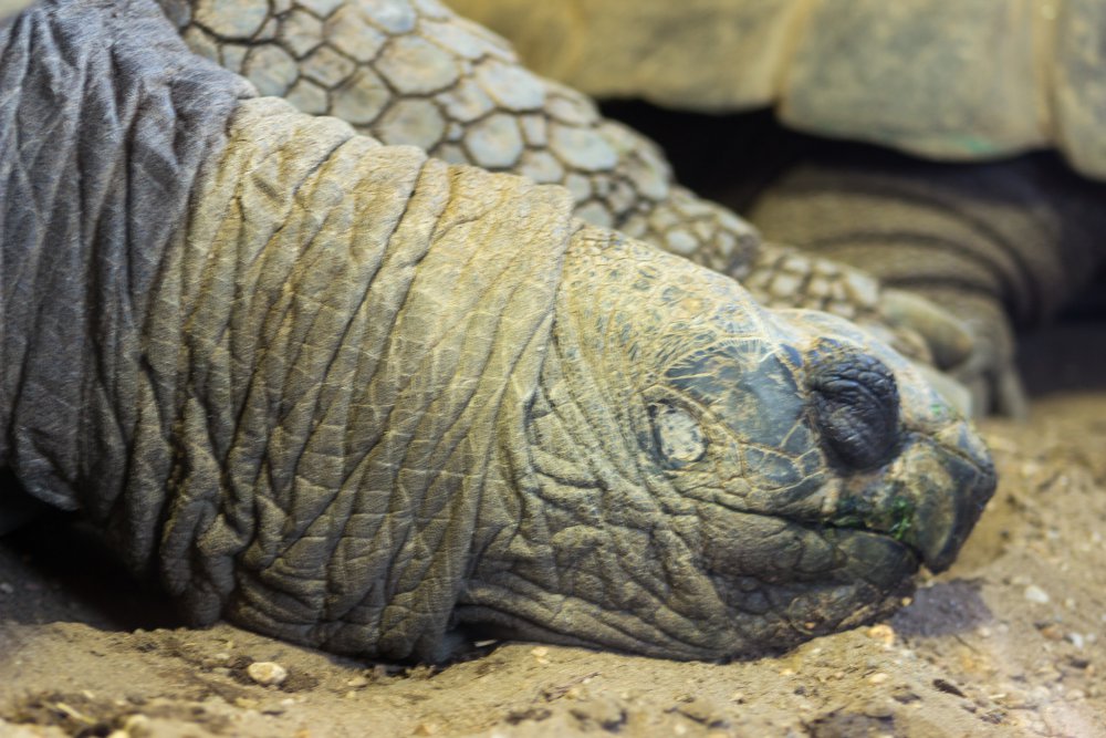 Tierpark_Bochum-63