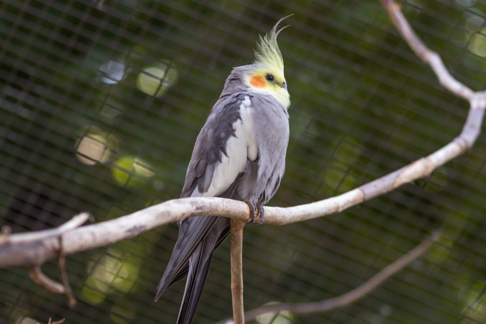 Tierpark_Bochum-64