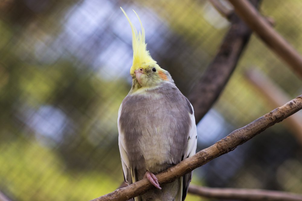 Tierpark_Bochum-65