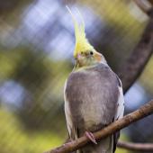 Tierpark_Bochum-65