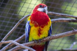 Tierpark Bochum 18.07.2015