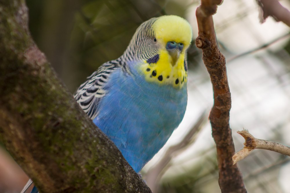 Tierpark_Bochum-68