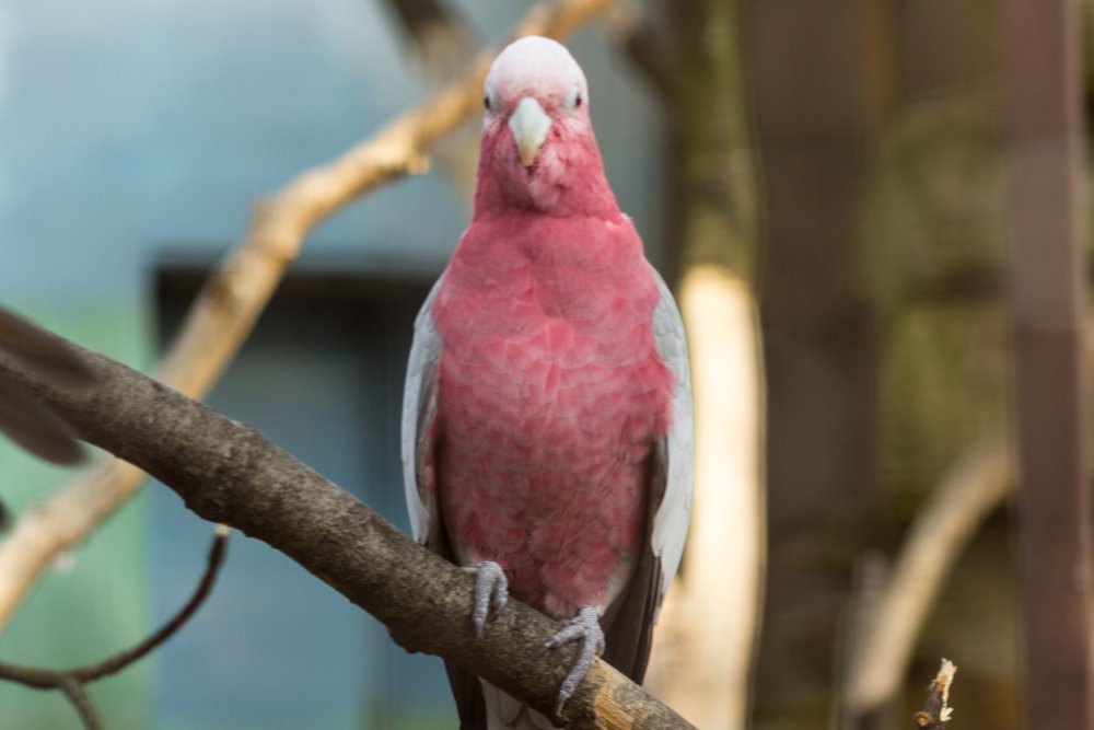 Tierpark_Bochum-70