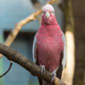 Tierpark_Bochum-70