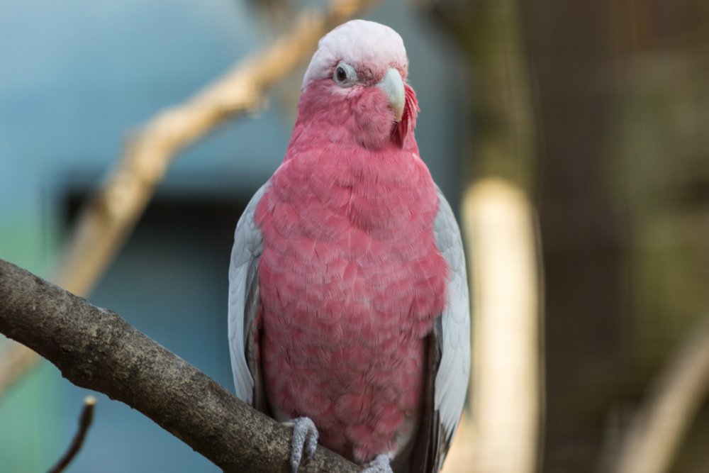 Tierpark_Bochum-71