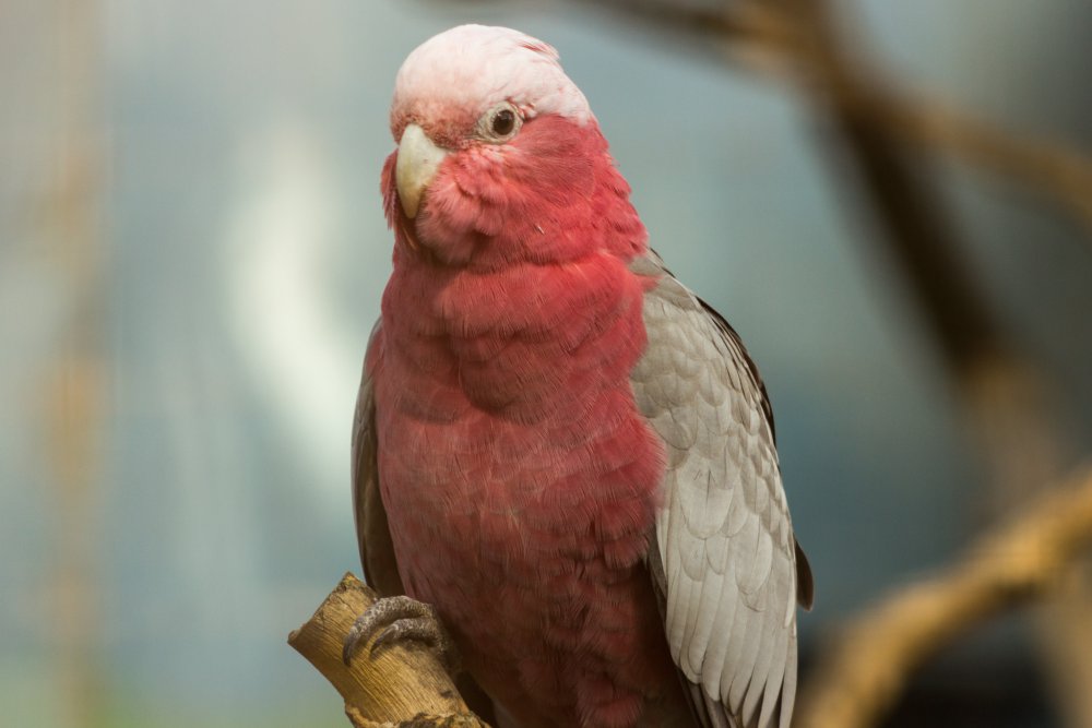 Tierpark_Bochum-72