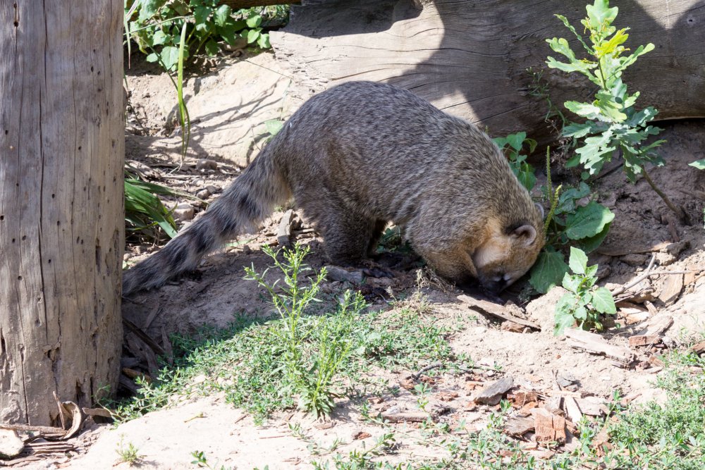 Tierpark_Bochum-75