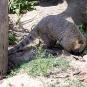 Tierpark_Bochum-75