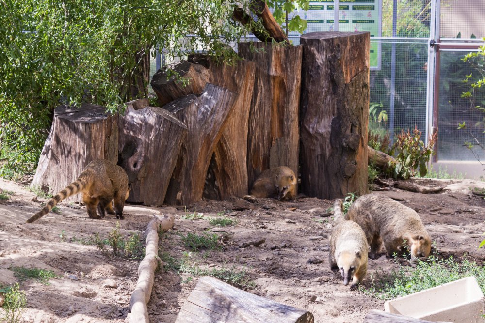 Tierpark_Bochum-76