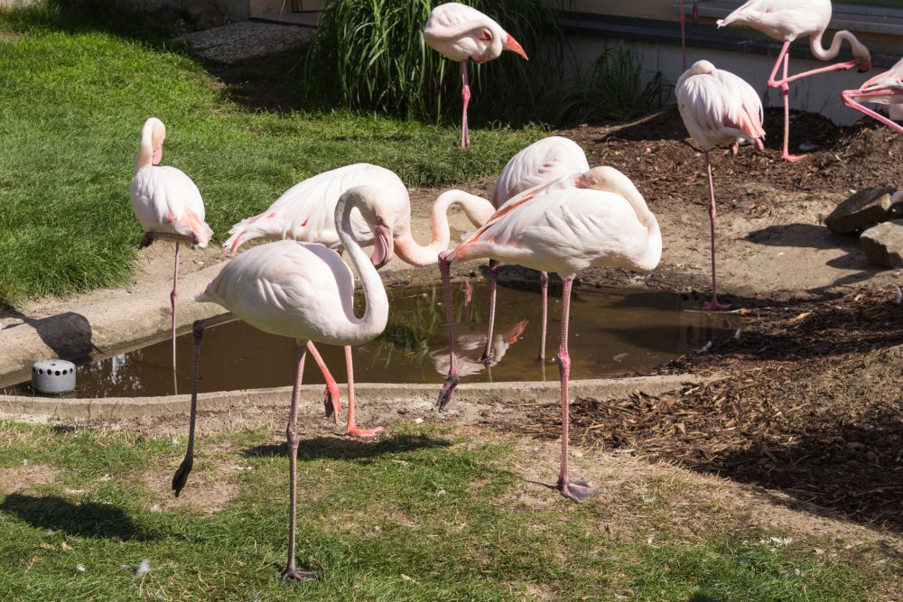 Tierpark_Bochum-77