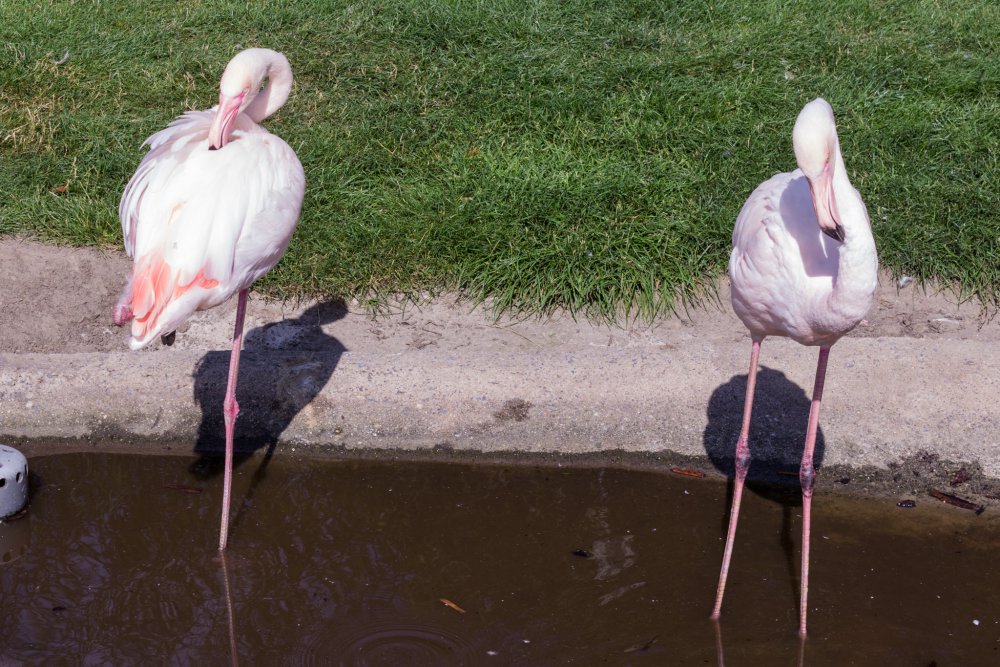 Tierpark_Bochum-78