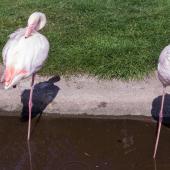 Tierpark_Bochum-78