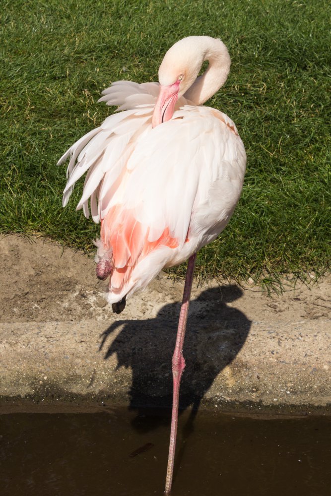 Tierpark_Bochum-79