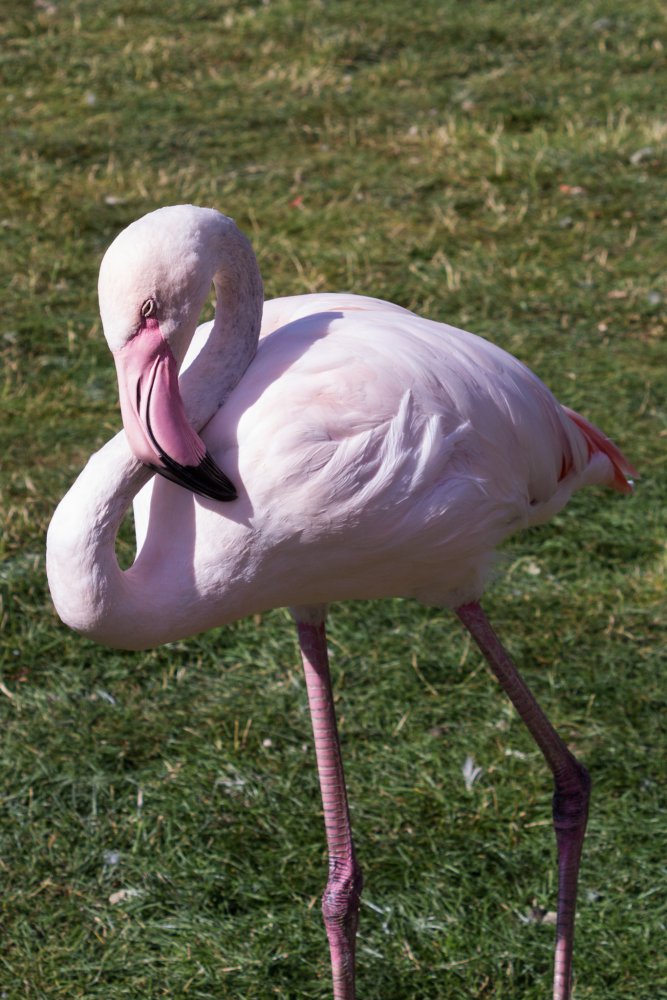 Tierpark_Bochum-80