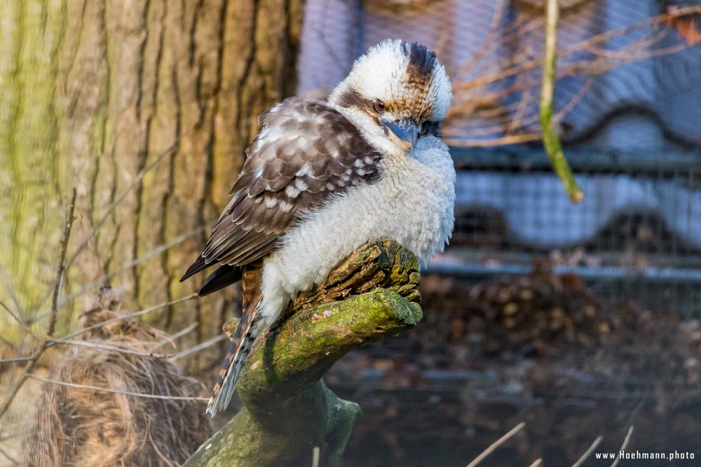 Tierpark_Hamm_2015_004