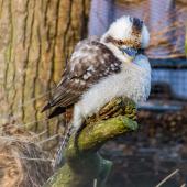 Tierpark_Hamm_2015_004