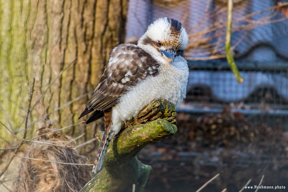 Tierpark_Hamm_2015_005