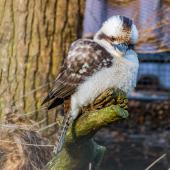 Tierpark_Hamm_2015_005