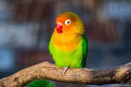 Tierpark Hamm 29.12.2015