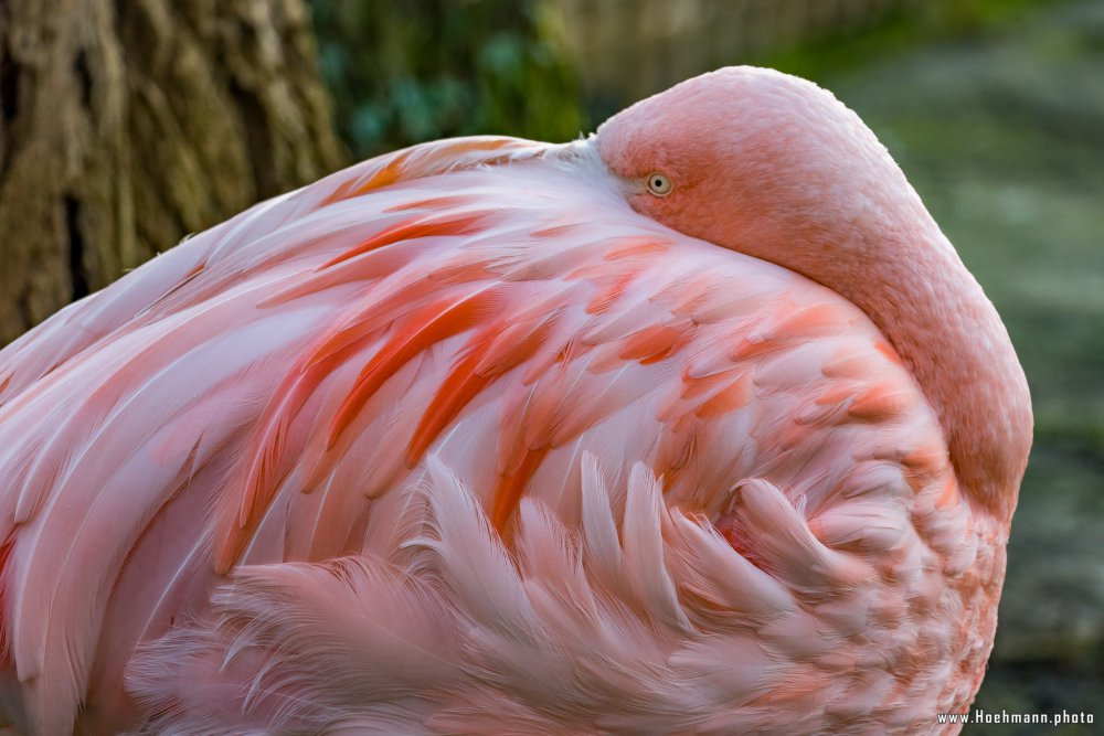 Tierpark_Hamm_2015_009