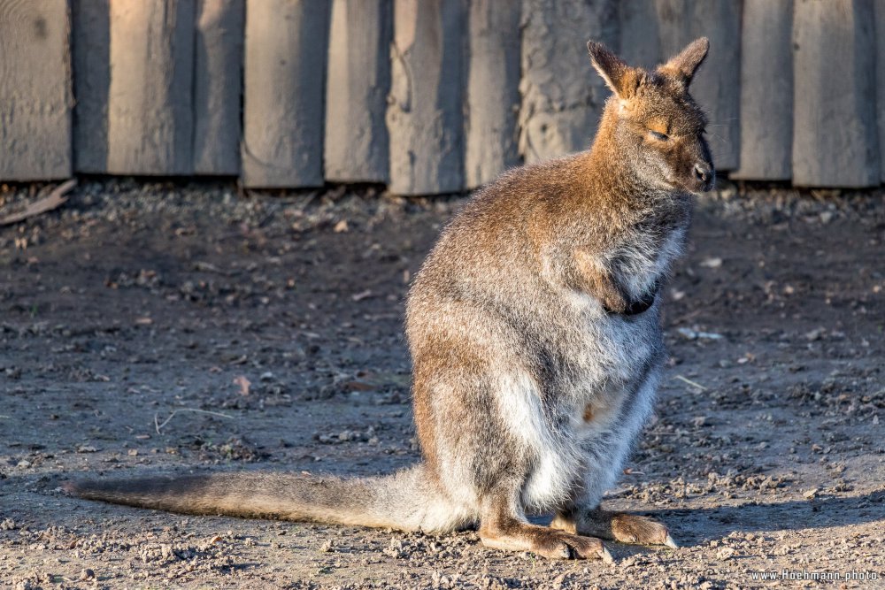 Tierpark_Hamm_2015_019