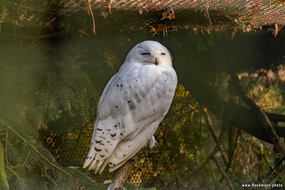 Tierpark_Hamm_2015_020