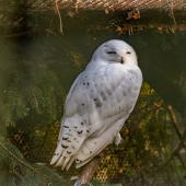 Tierpark_Hamm_2015_020